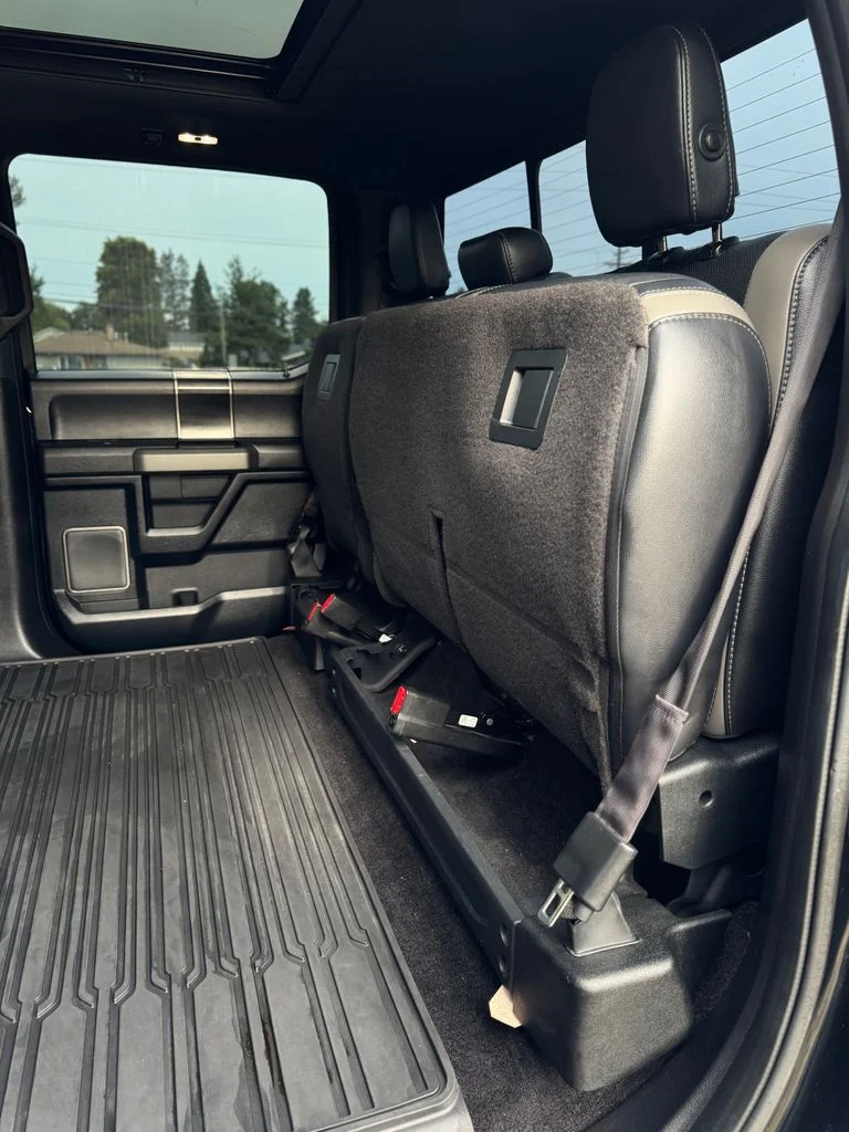 Used 2017 Shadow Black Ford Raptor image 46