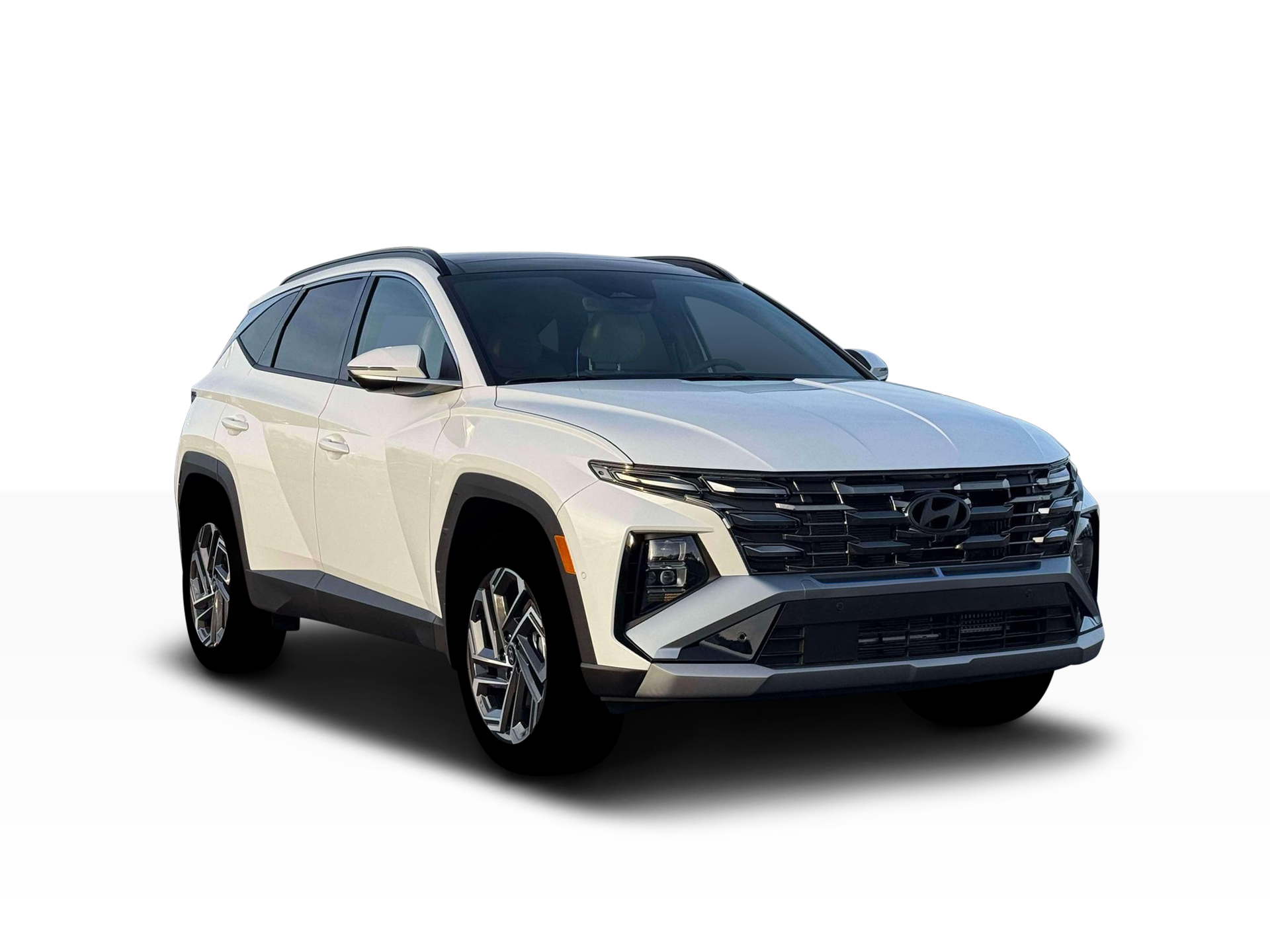New 2026 Creamy White Pearl Hyundai Limited image 30