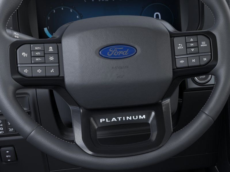 New 2026 White Ford Platinum image 12