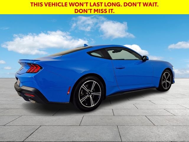 Used 2024 Blue Ford EcoBoost Premium image 8
