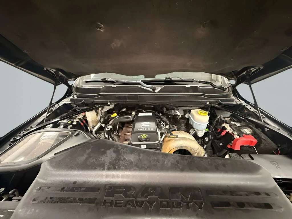 Used 2021 Black Ram Big Horn image 23