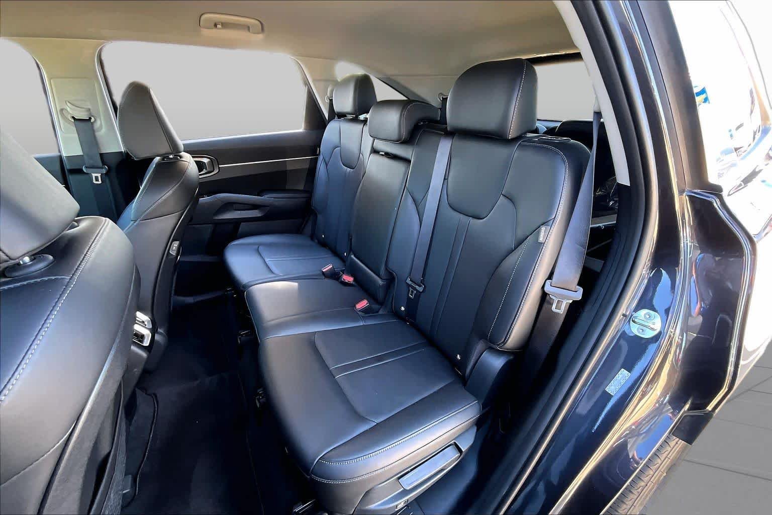Used 2025 Panthera Metal Kia S image 17