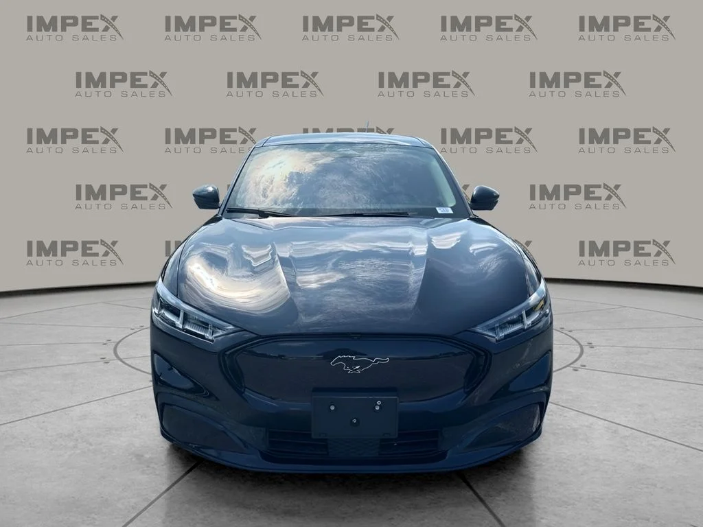 Used 2023 Black Ford Premium image 8
