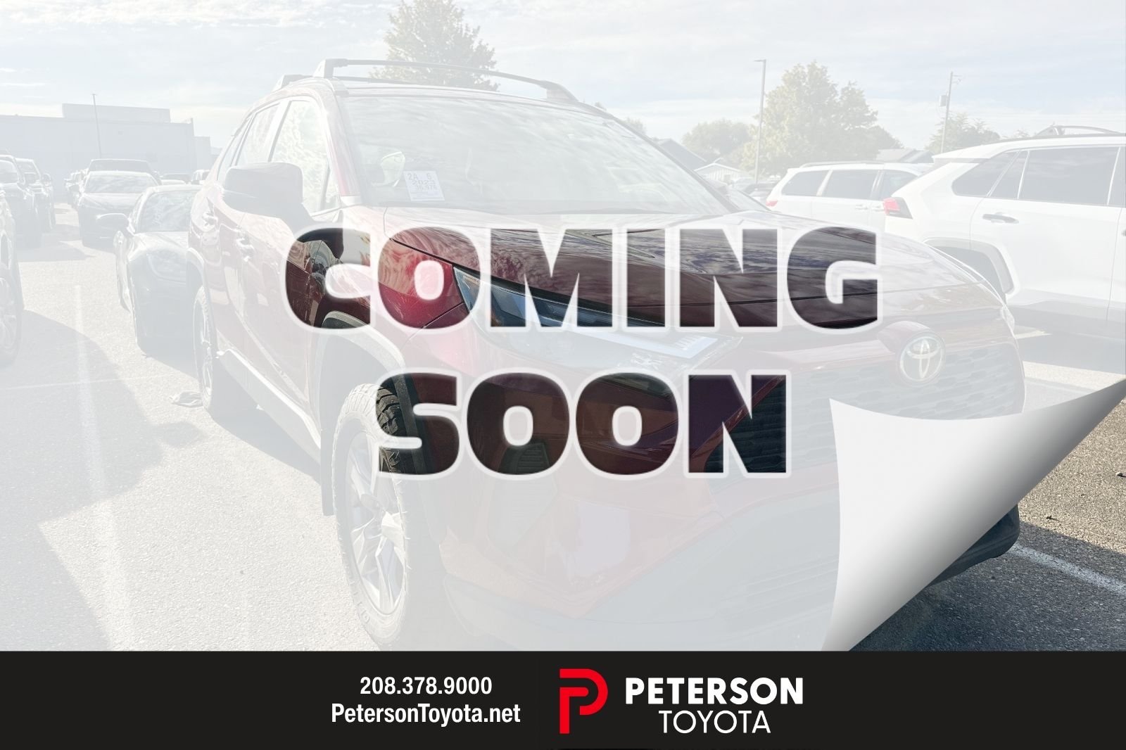Used 2023 Red Toyota XLE image 1