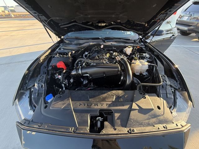 2025 Ford Mustang EcoBoost - Photo 28