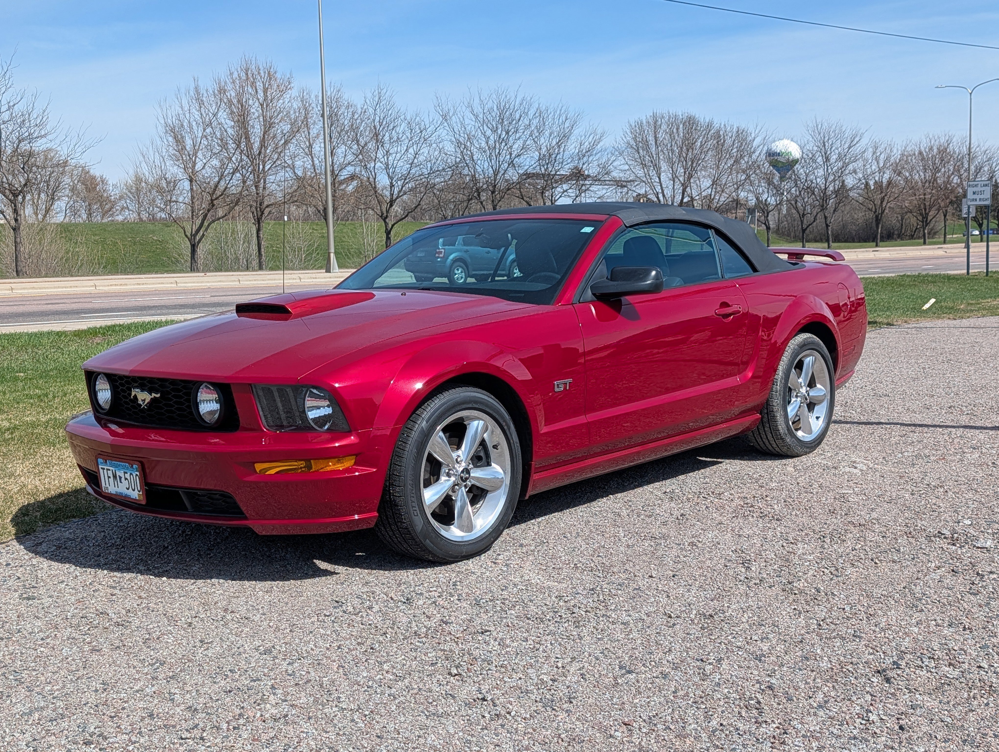 Used 2008 Ford Mustang GT Premium with VIN 1ZVHT85H785146236 for sale in Waite Park, Minnesota
