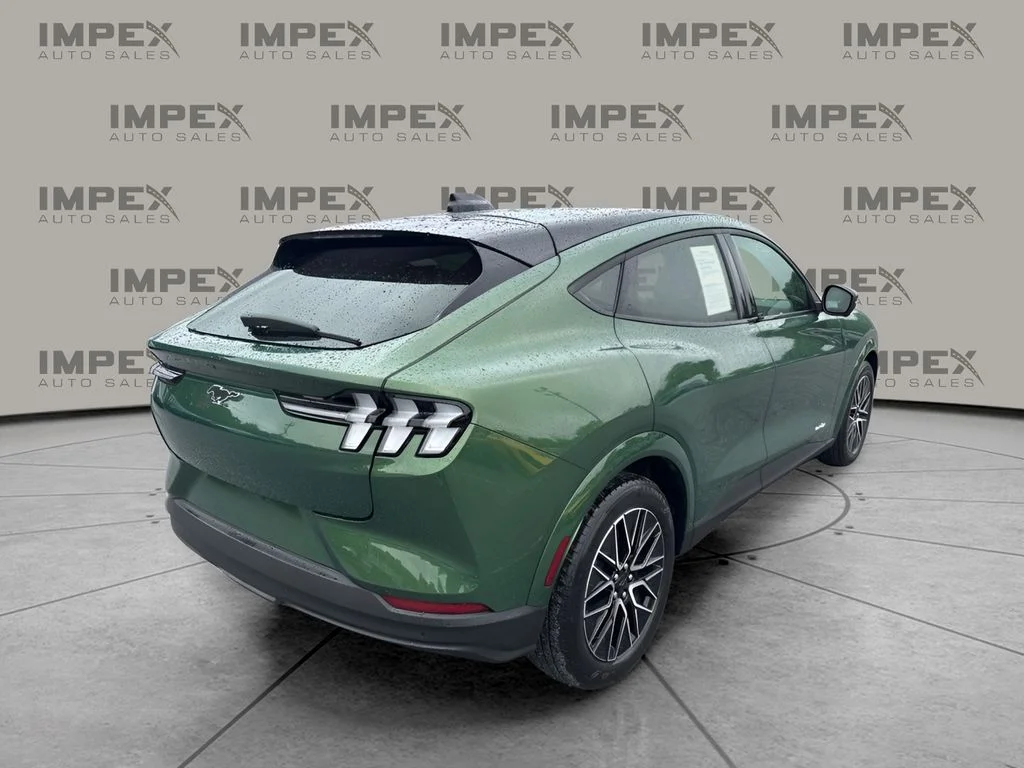 Used 2025 Green Ford Premium image 5