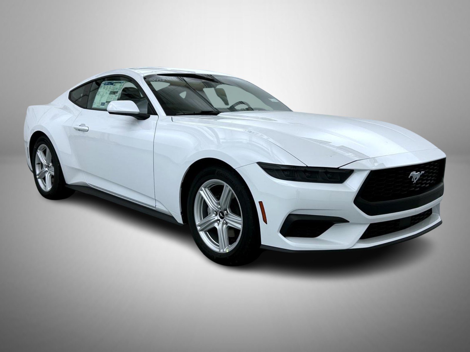 New 2026 Oxford White Ford EcoBoost image 3