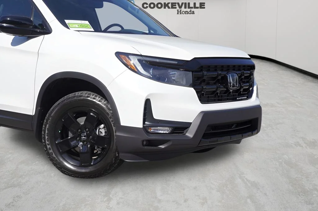 New 2026 Platinum White Pearl Honda Black Edition image 2
