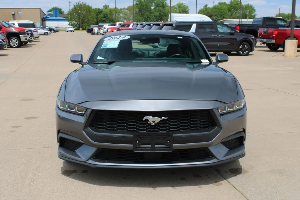 Used 2024 Gray Ford EcoBoost Premium image 2