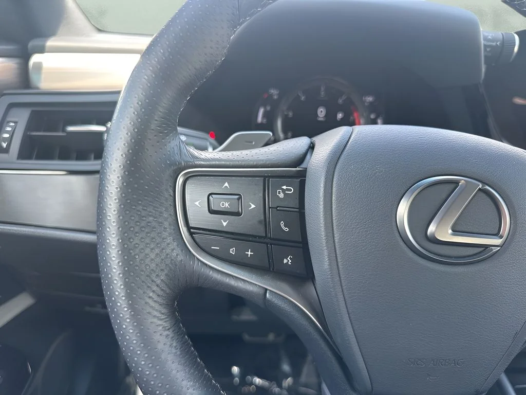 Used 2022 Gray Lexus 350 F Sport image 15