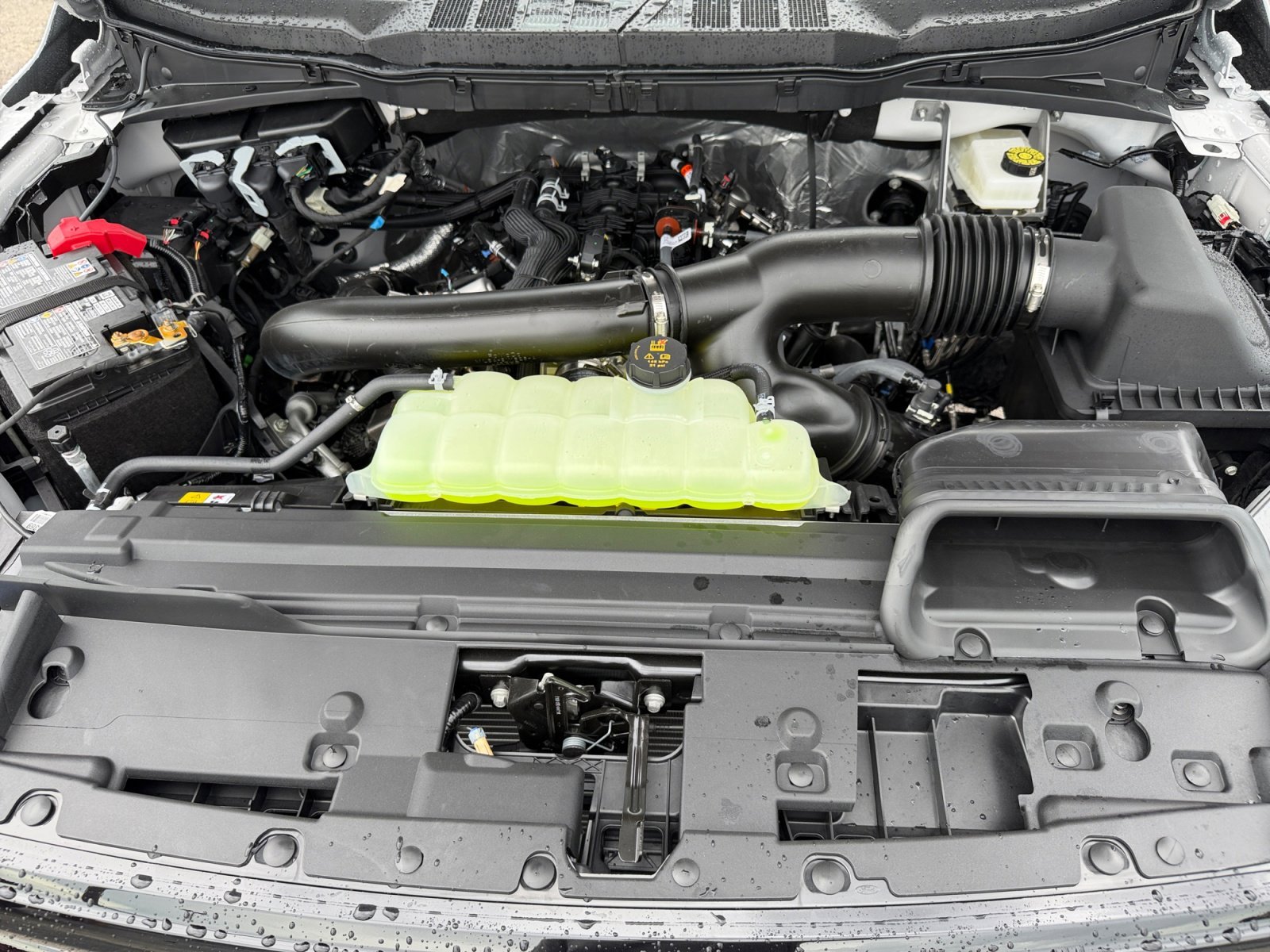 New 2026 Oxford White Ford XLT image 20