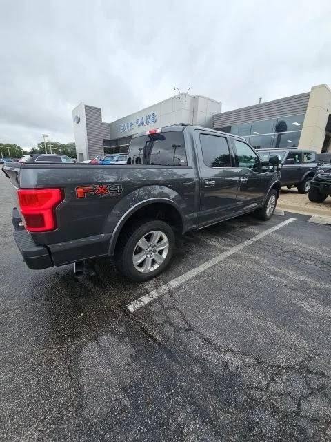 Used 2019 Magnetic Metallic Ford Platinum image 4