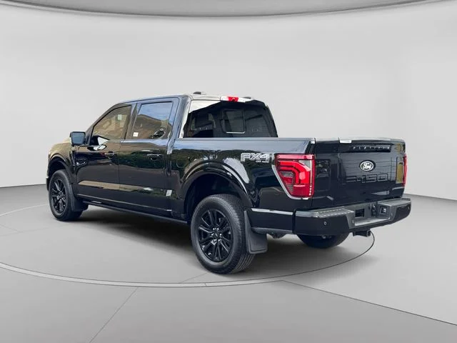 Certified Used 2025 Black Metallic Ford Platinum image 3