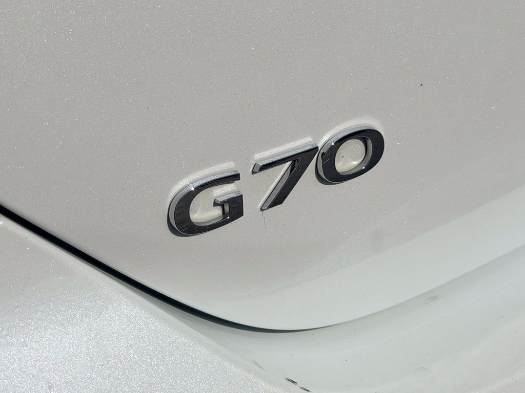 Used 2025 White Genesis 2.5T image 9