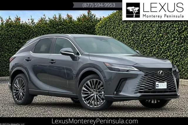 New 2026 Cloudburst Gray Lexus LUXURY image 1