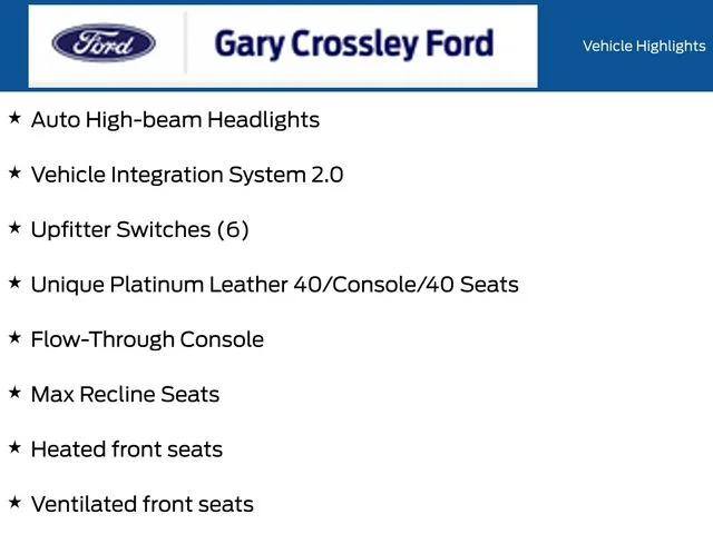 New 2025 Gray Ford Platinum image 19