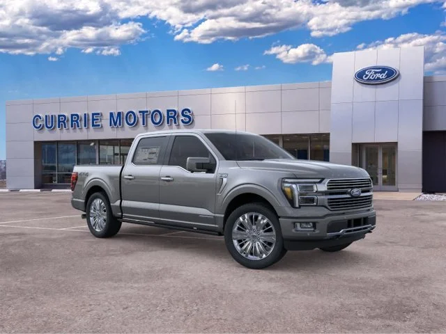 New 2026 Carbonized Gray Metallic Ford Platinum image 7