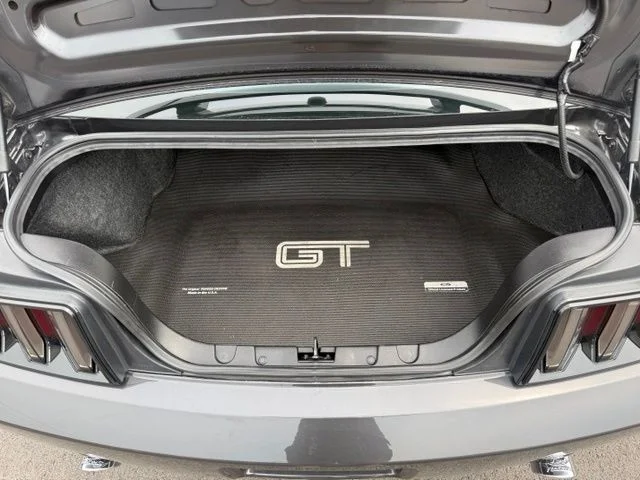Used 2007 Tungsten Gray Clearcoat Metallic Ford GT Premium image 15