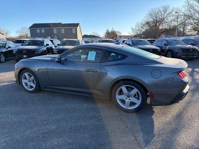 New 2026 Carbonized Gray Metallic Ford EcoBoost® Fastback image 5