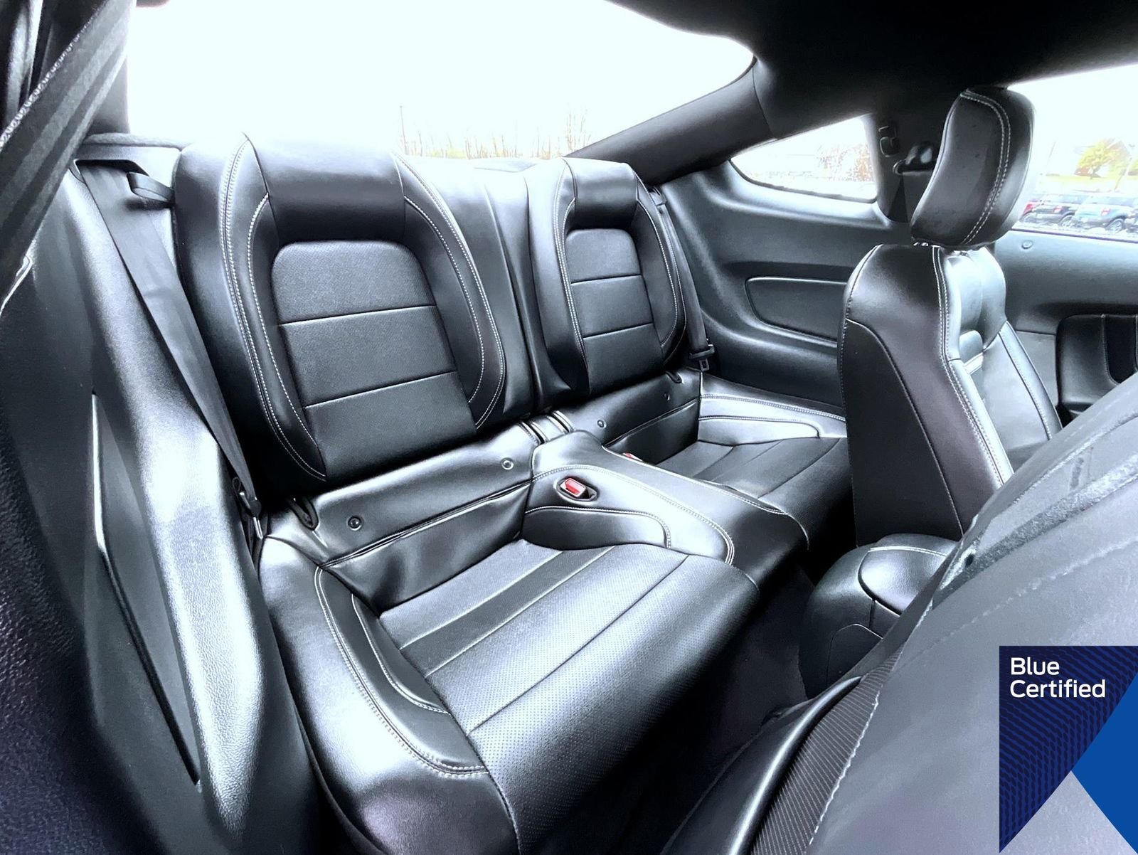 Certified Used 2023 Grabber Blue Ford Mach 1 image 13