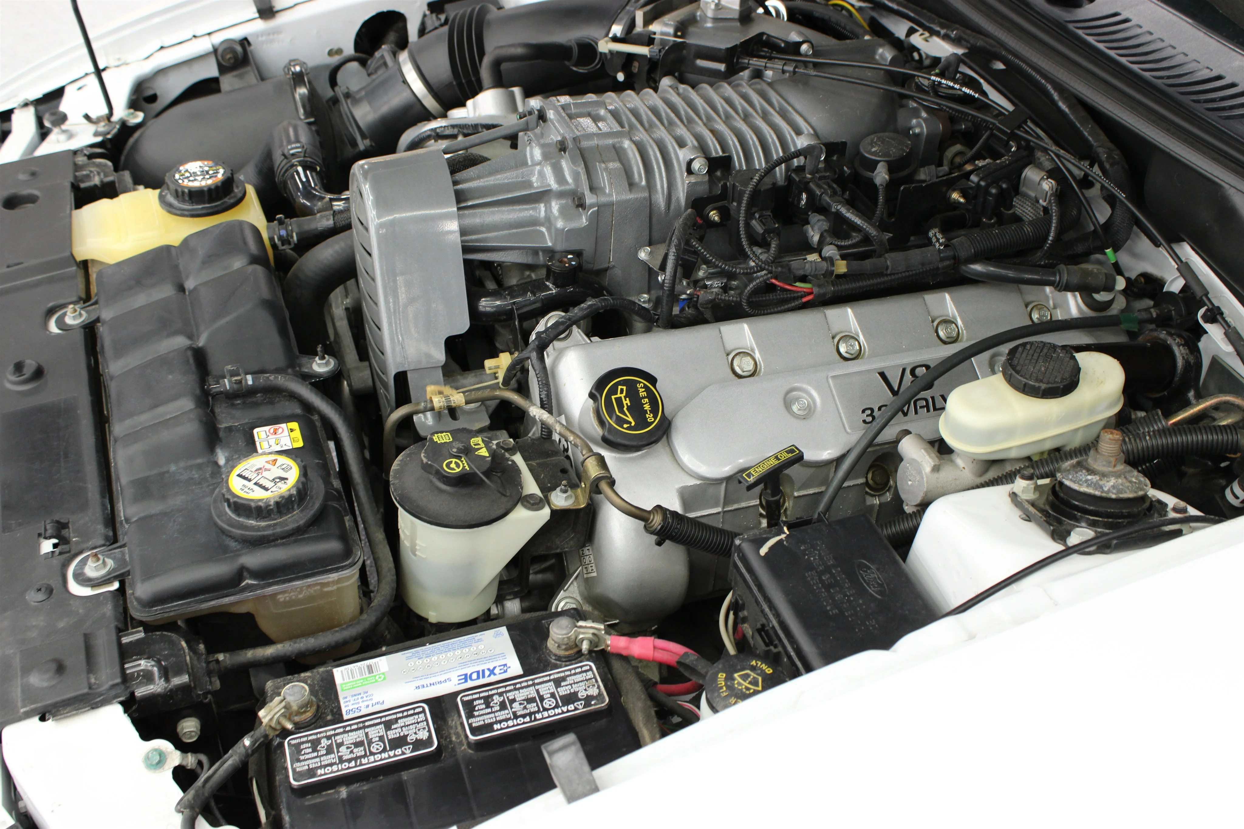 2004 Ford Mustang Cobra SVT - Photo 31