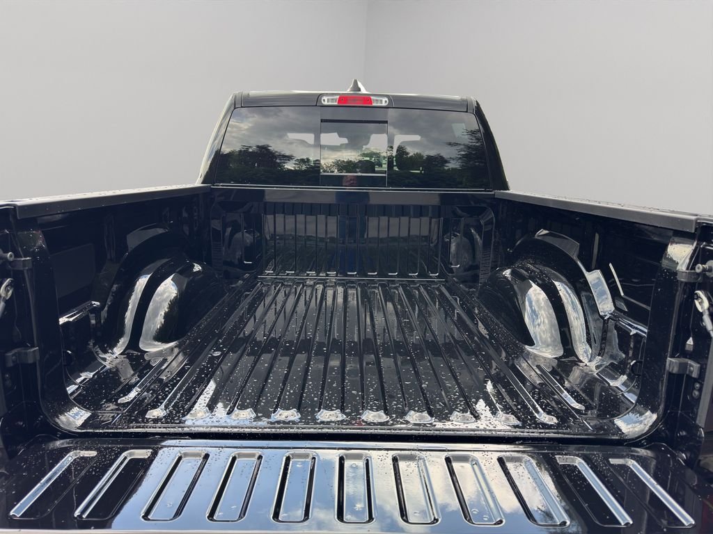 New 2026 Diamond Black Crystal Pearl-Coat Exterior Paint RAM Express image 8