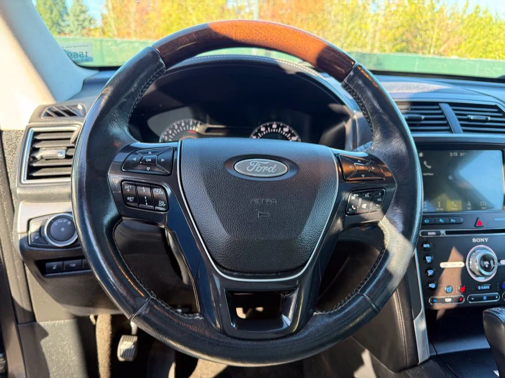 Used 2017 Magnetic Ford Platinum image 10
