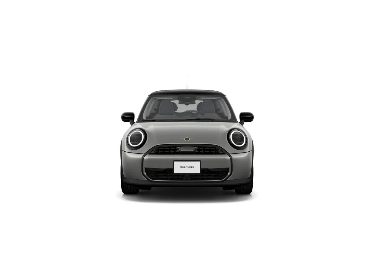 New 2026 Melting Silver III Metallic MINI Signature Plus image 2