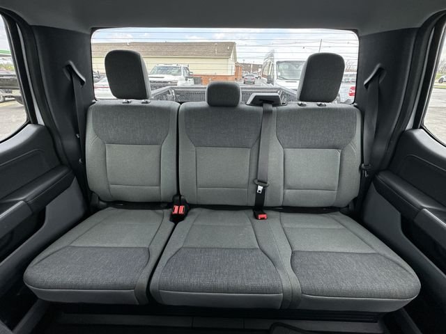 2024 Ford F-150 XLT - Photo 14