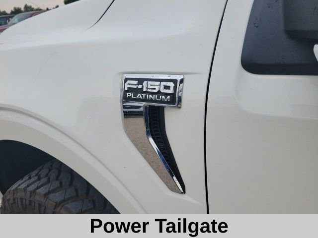 Used 2023 White Ford Platinum image 9