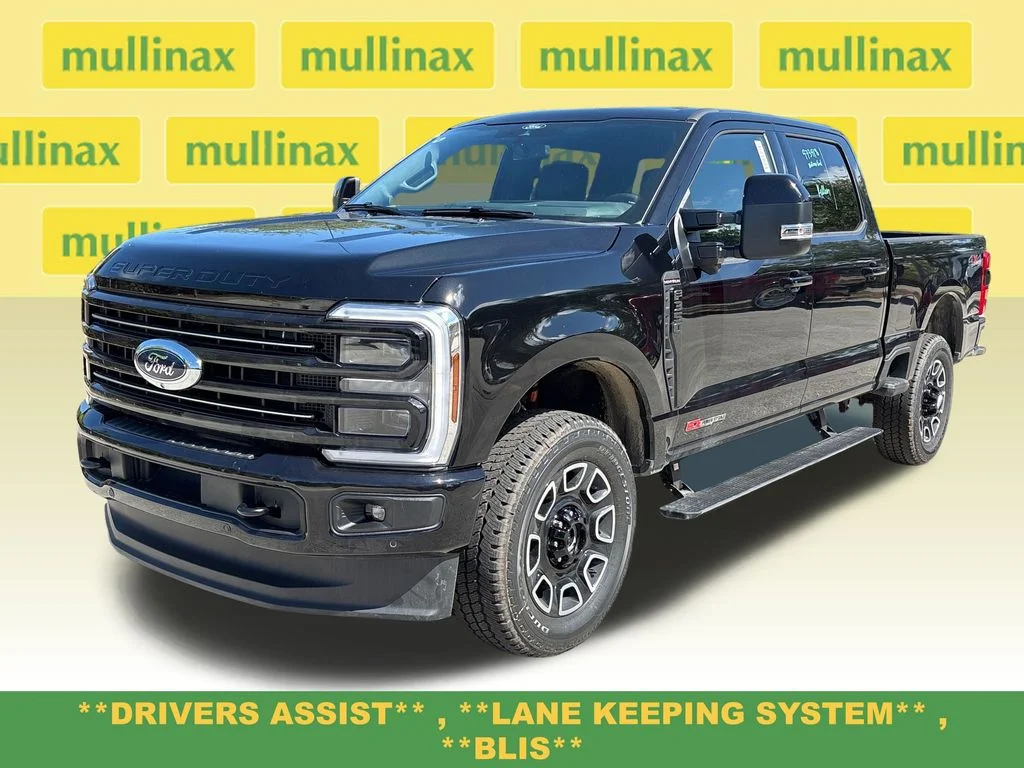 New 2026 Black Ford Platinum image 15