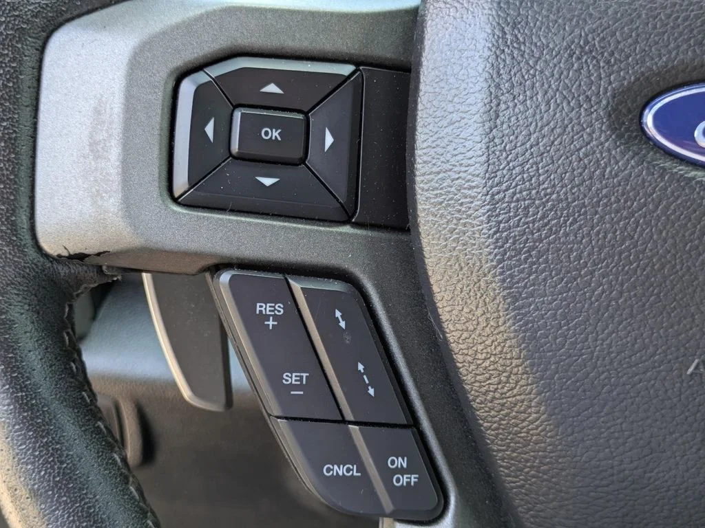 Used 2019 Gray Ford Raptor image 21