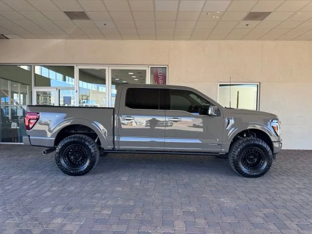 New 2026 Gray Ford Platinum image 6