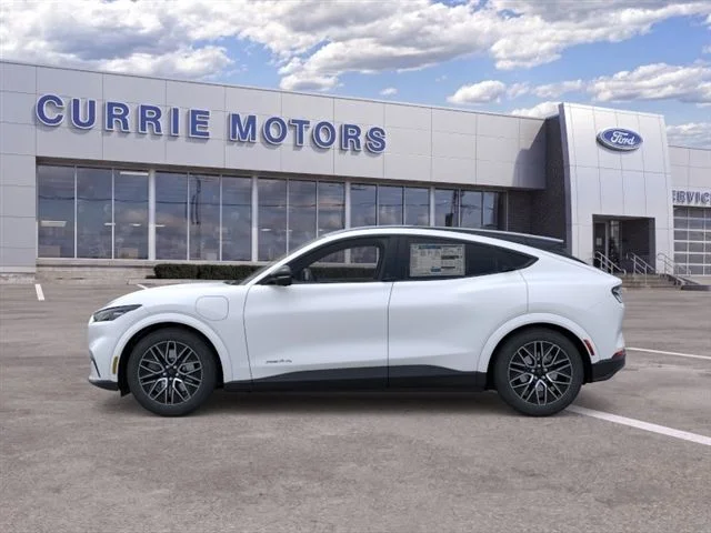 New 2026 Star White Metallic Tri-coat Ford Premium image 3