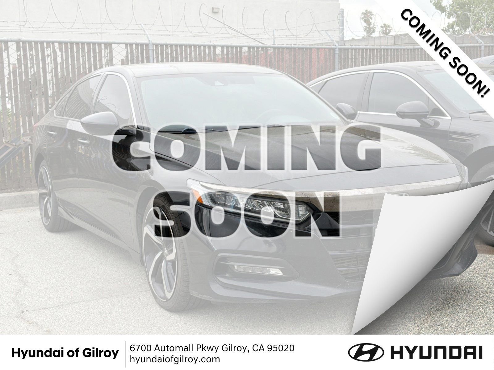 2019 Honda Accord 1.5T Sport CVT's photo