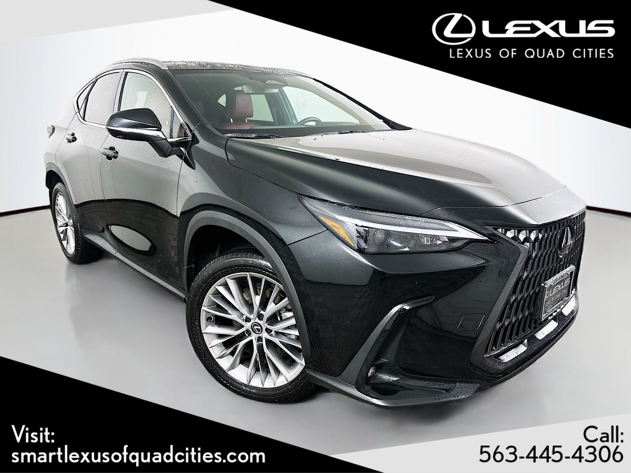 2025 Lexus NX 350h 350h Premium AWD's photo