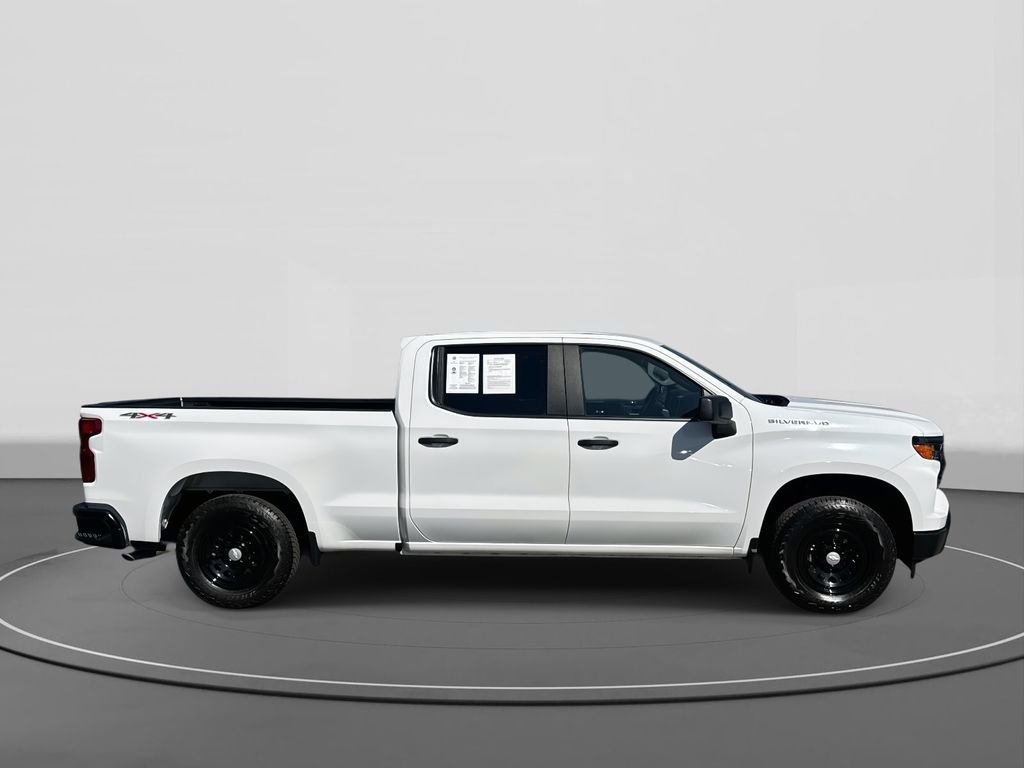 Used 2025 White Chevrolet WT image 3