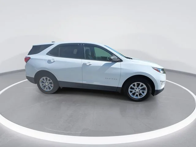 Used 2019 White Chevrolet LS image 9