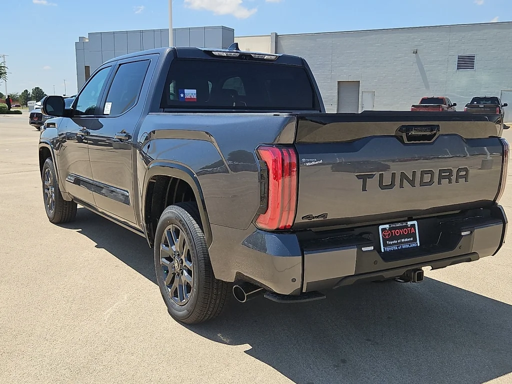 New 2026 Magnetic Gray Toyota Platinum image 2