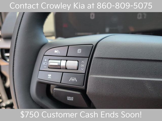 New 2026 Panthera Metal Kia X-Line image 14