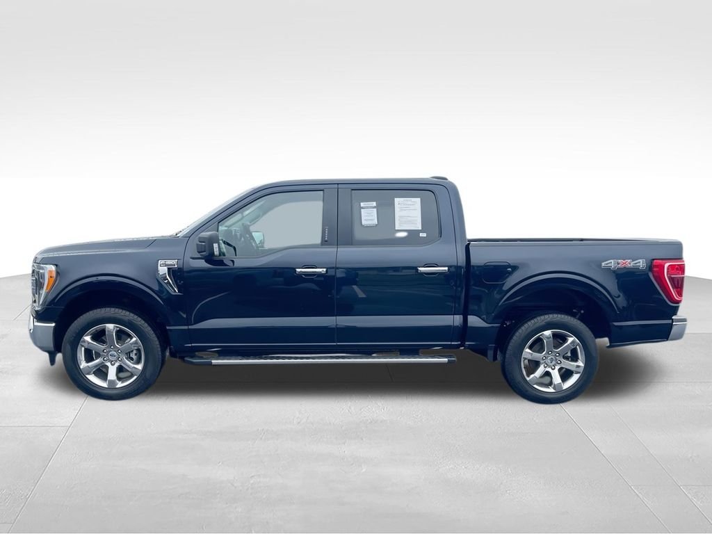 Used 2023 Blue Ford XLT image 5