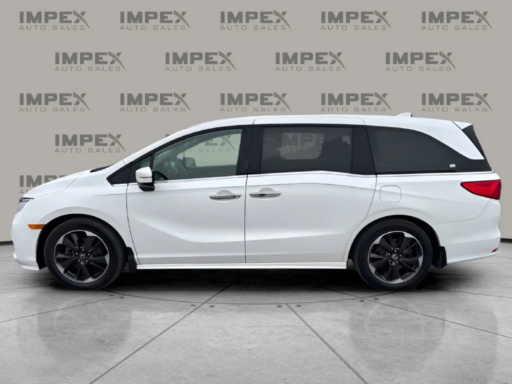 Used 2023 White Honda Elite image 2