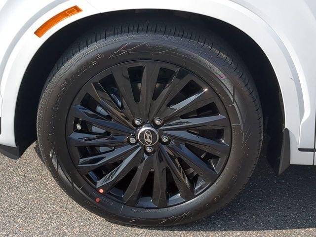 2025 Hyundai Palisade Calligraphy Night Edition - Photo 11