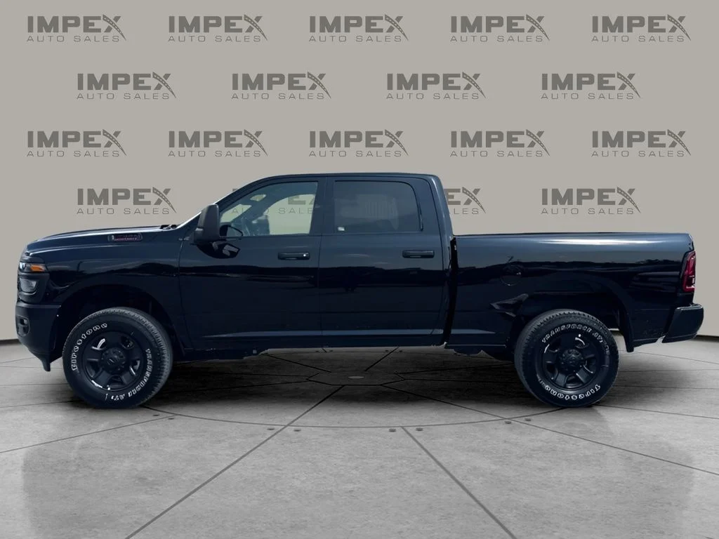 Used 2025 Black Ram Tradesman image 2