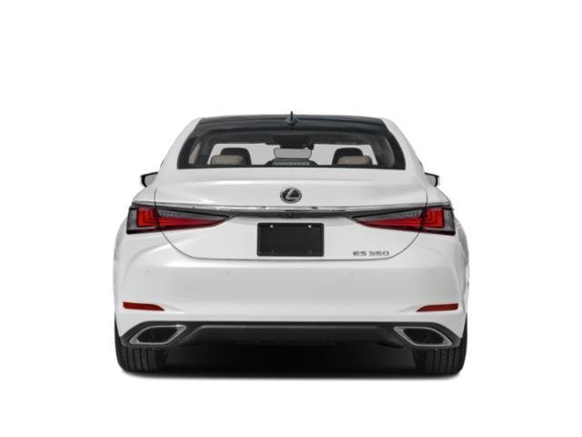 2025 Lexus ES 350 Luxury - Photo 8