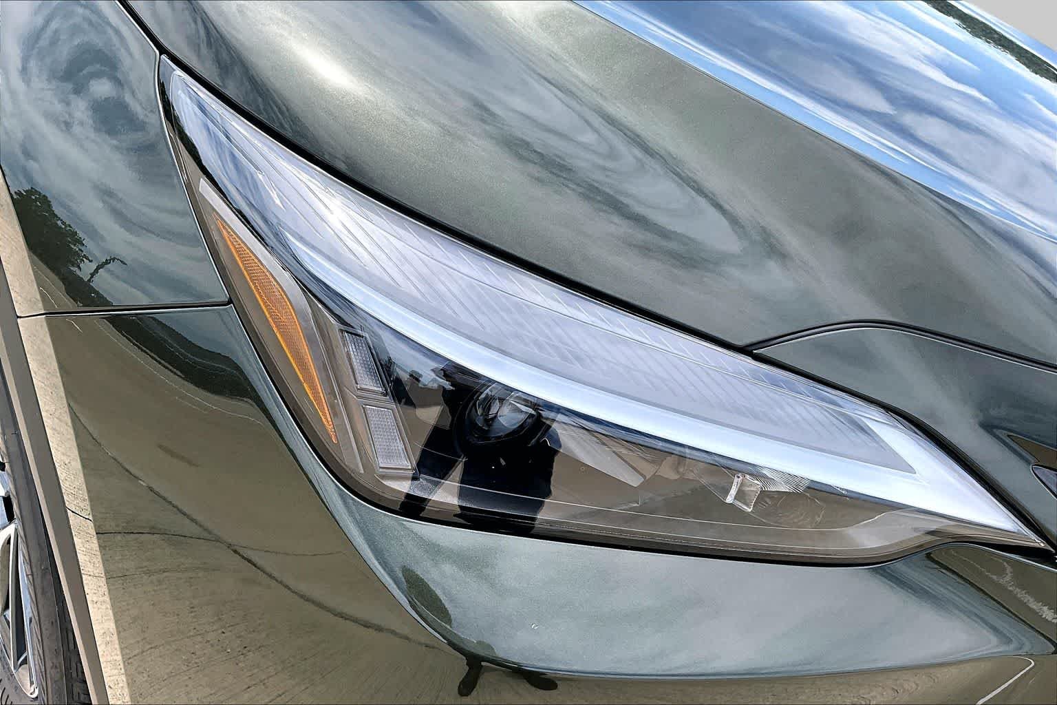 New 2026 Nori Green Pearl Lexus PREMIUM image 13