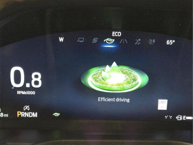 New 2026 Marsh Gray Ford Tremor® image 16