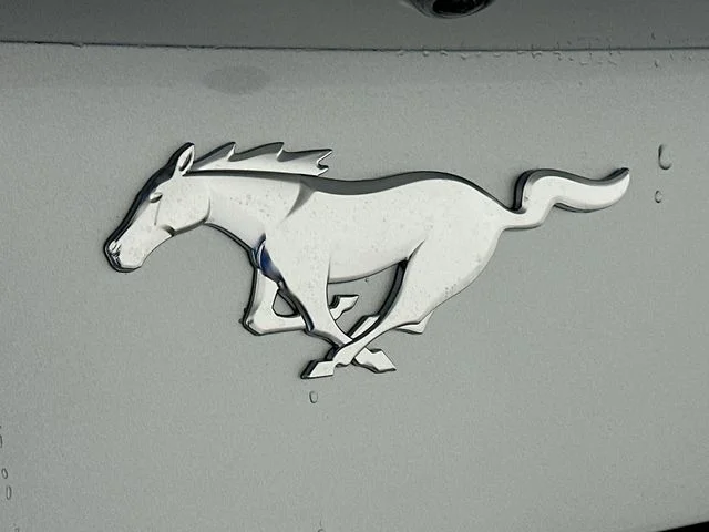New 2026 Ford Mustang EcoBoost