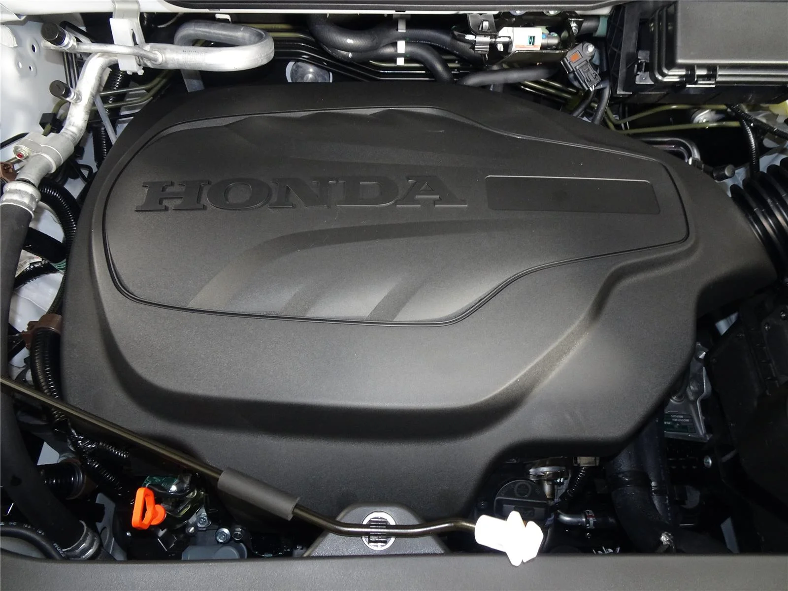 New 2026 Platinum White Pearl Honda RTL image 10